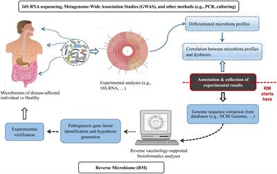 Reverse Microbiomics: A New Reverse Dysbiosis Analysis Strategy and Its Usage in Prediction of Autoantigens and Virulent Factors in Dysbiotic Gut Microbiomes From Rheumatoid Arthritis Patients